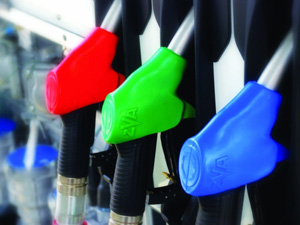 Цены на бензин предложено регулировать