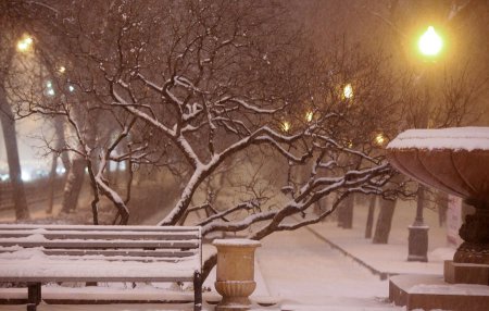 СМИ: В столичных парках к зиме появятся скамейки с подогревом