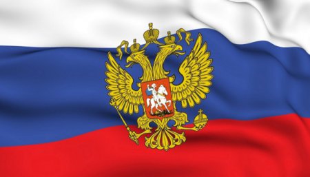 Россияне, получая паспорт, будут произносить клятву на верность Родине