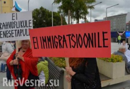 «Я не верю беженцу!» — в Эстонии митинговали против квот на прием мигрантов