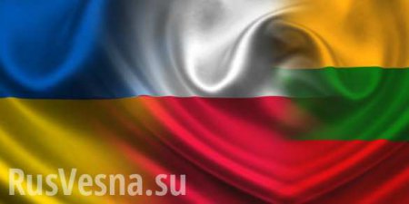 Литовско-польско-украинская бригада создается для операций под эгидой НАТО, ЕС и ООН