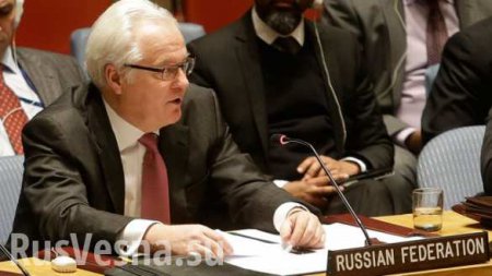 Чуркин: эксперты РФ могут принять участие в расследовании химатак в Сирии