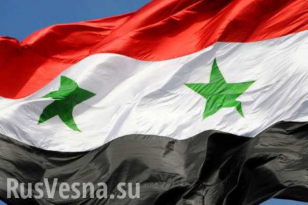 СМИ узнали детали российской операции в Сирии