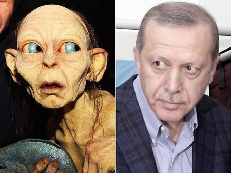 Турецкий врач попал под следствие из-за сравнения Эрдогана с Голлумом