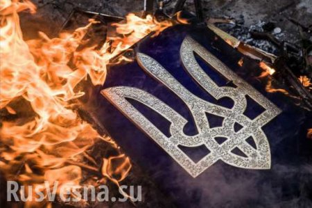 Без Донбасса русская Украина будет окончательно уничтожена, — политолог (ВИДЕО)