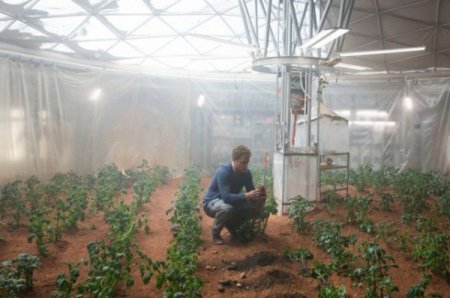 NASA проводит исследования по выращиванию картофеля на Марсе