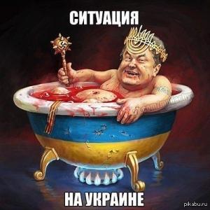Foreign Policy: Украинский учёный переписывает историю с согласия Порошенко. Новая историческая сенсация от укров