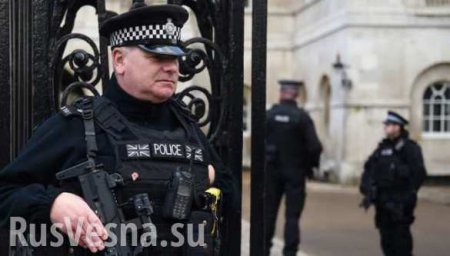 Британская полиция извинилась за фразу «Аллах акбар» во время учений