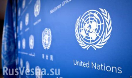Почти половина россиян считает, что ООН играет негативную роль в мире, — опрос