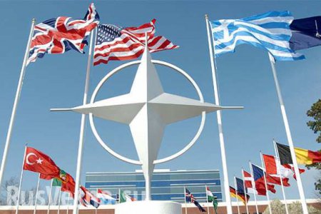 Единство НАТО дало трещину под давлением России, — СМИ США