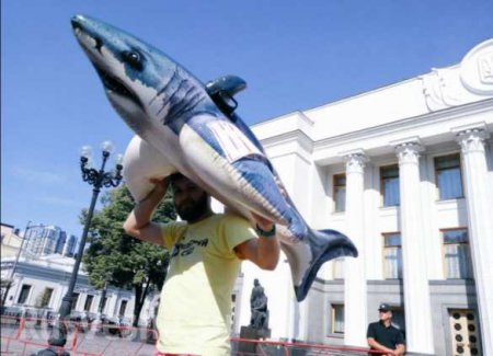 Депутатам Верховной рады принесли шезлонги и надувную акулу (ФОТО)