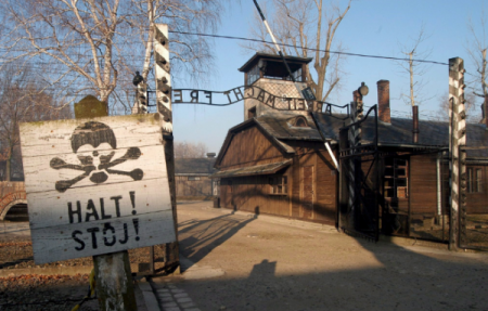 Новым полем боя для покемонов стал музей жертв Холокоста в Освенциме