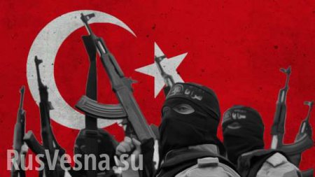Сирийские террористы поздравили «брата» Эрдогана с победой (ФОТО)