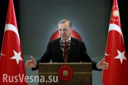Эрдоган отзовет все судебные иски об оскорблениях в его адрес