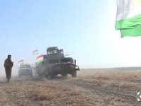 Иракская армия и пешмерга ведут наступление южнее Мосула