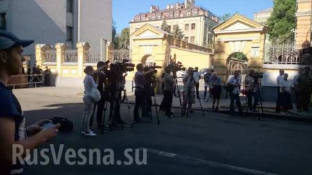 Под администрацией Порошенко проходит митинг, организованный Савченко (ФОТО+ВИДЕО)