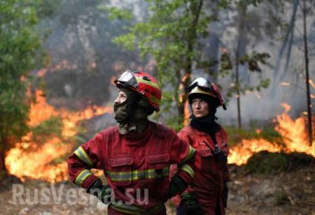 Португальскую Мадейру охватили страшные пожары, есть погибшие (ФОТО, ВИДЕО)