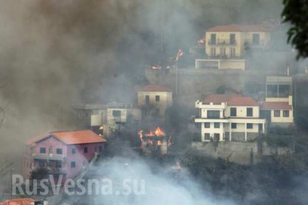 Португальскую Мадейру охватили страшные пожары, есть погибшие (ФОТО, ВИДЕО)