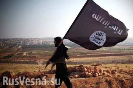 Коалиция с США воюет не против терроризма, а с его помощью, — посол Сирии