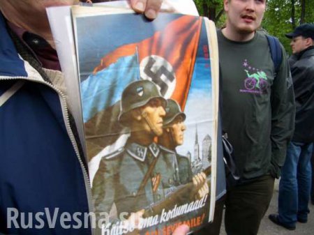 Эстонцы-эсэсовцы освобождали Эстонию? —мнение о русофобии и эстонском национализме