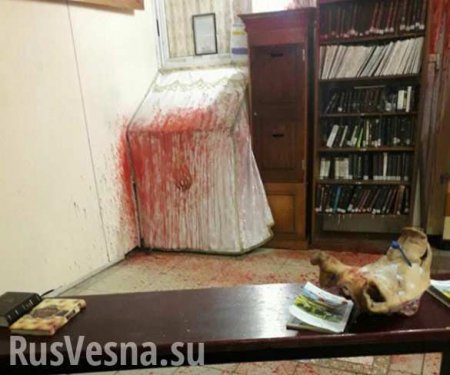 В Черкасской области неонацисты разгромили синагогу (+ВИДЕО, ФОТО)