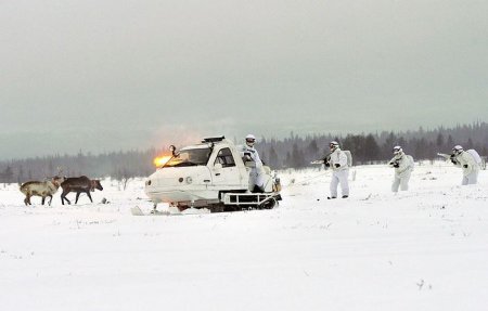 Арктические военные «испытали» оленей и собак на учениях