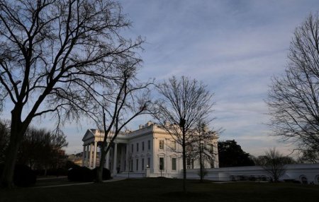 «Белый дом» сообщил о наличии доказательств фальсификаций на выборах в США