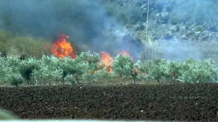 Турецкая армия захватила участок земли на северо-западе Сирии - Военный Обозреватель