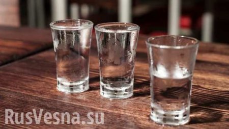 В американском Нью-Гемпшире отказались запрещать русскую водку