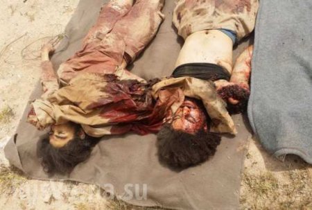 Кровавый провал: Армия Сирии уничтожила наступающие силы ИГИЛ у «дороги жизни» в Алеппо (ВИДЕО, ФОТО 18+)