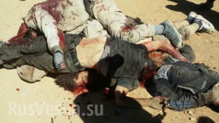 Кровавая мясорубка: ИГИЛ атаковала «Аль-Каиду», буквально завалив трупами границу Сирии (ФОТО 18+)