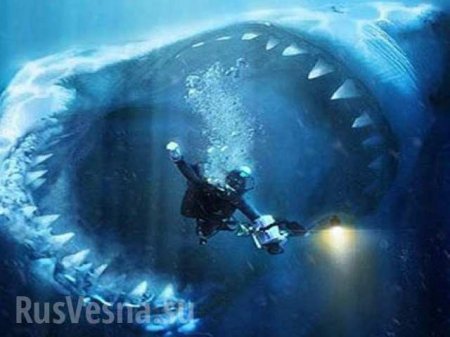 Поколение селфи: американец снимал на камеру, как акула откусила ему кусок ноги (ВИДЕО)