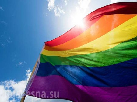 Их нравы: в Европе признали «неправомерным» российский закон о запрете гей-пропаганды среди детей