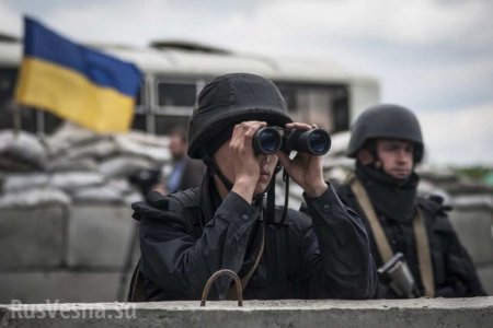 ВСУ возводят переправы через Северский Донец для новой атаки у Желобка