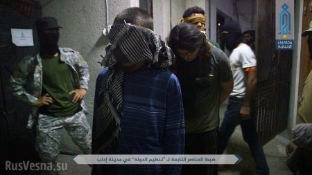 Сирия: «Аль-Каида» громит ИГИЛ, в Идлибе схвачен русский главарь и 120 боевиков (ФОТО)