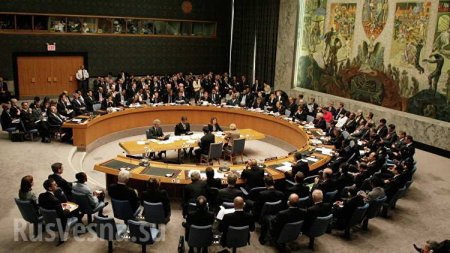 Япония созывает экстренное заседание Совбеза ООН из-за пуска ракеты КНДР | Русская весна