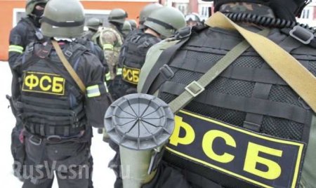 ФСБ и МВД перекрыли крупный канал поставок оружия с Украины