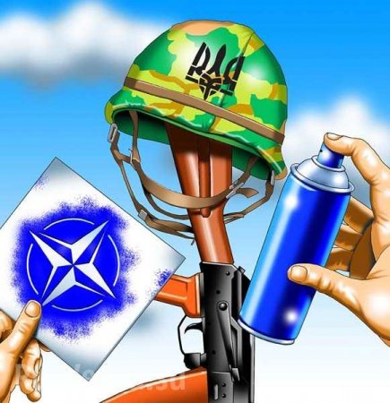 «Переход» ВСУ на стандарты НАТО: миф или реальность?