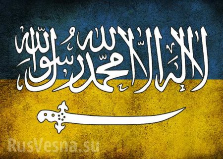 «То же самое, что ИГИЛ», — глава комитета Госдумы об украинских неонацистах (ВИДЕО)
