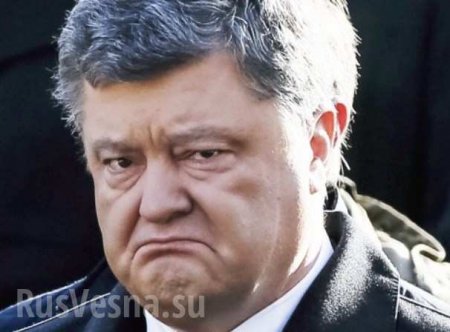 «Порошенко что-то спутал», — в Совфеде ответили на заявление президента Украины о возобновлении диалога