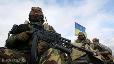 Военнопленный солдат ВСУ рассказал об иностранном контингенте на Украине (ВИДЕО)