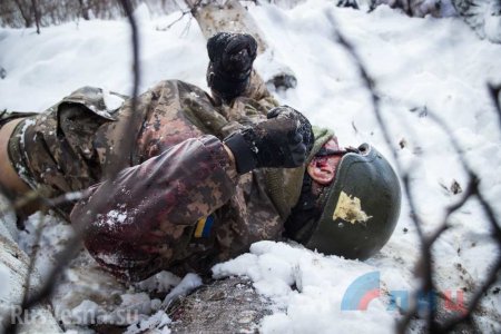 Пособница украинских карателей показала фото «атошников», ликвидированных на Донбассе (ФОТО)