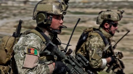 Афганские военные уничтожили 171 террориста за сутки