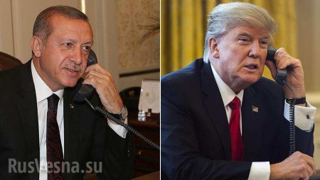 Эрдоган и Трамп обсудили обстановку в Сирии