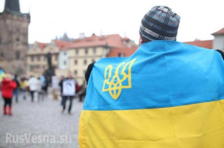 Украинских провокаторов выгнали с митинга в честь дня Победы в Канаде (ВИДЕО)