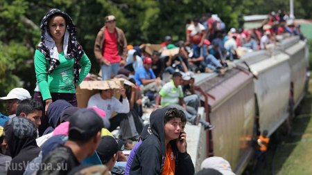 Американский кошмар: в конгрессе раскритиковали миграционную политику Трампа