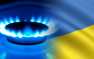 «Чтобы вымерли»: в Раде объяснили повышение цен на газ (ВИДЕО)