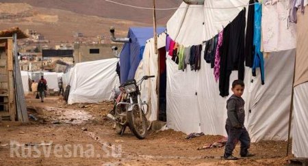 Жизнь в аду: боевики обрекли миллионы сирийцев на кошмарное существование (ВИДЕО, ФОТО)