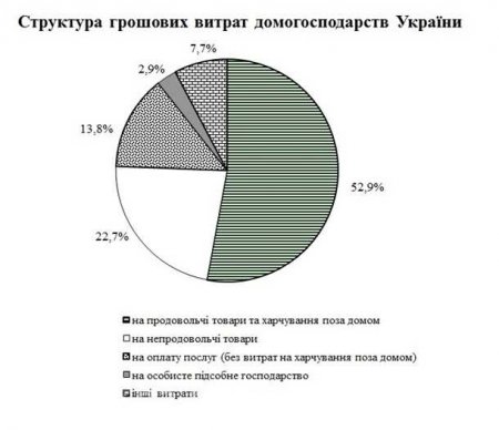 Майдан победил: Украинцы больше половины своих доходов тратят на еду (ИНФОГРАФИКА)
