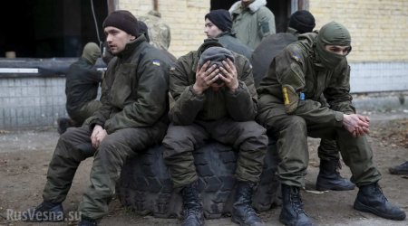 Командование «АТО» кошмарит карателей перед Новым годом: сводка о военной ситуации в ДНР (+ВИДЕО)